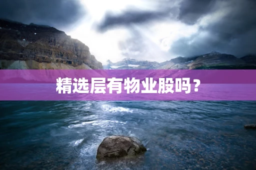 精选层有物业股吗？