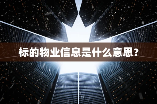 标的物业信息是什么意思？