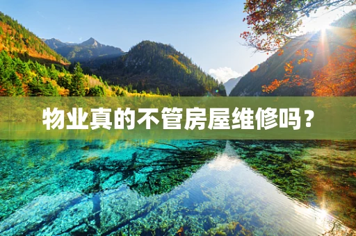 物业真的不管房屋维修吗？
