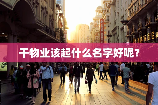 干物业该起什么名字好呢？
