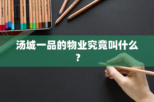 汤城一品的物业究竟叫什么？