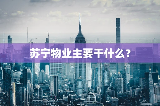 苏宁物业主要干什么？