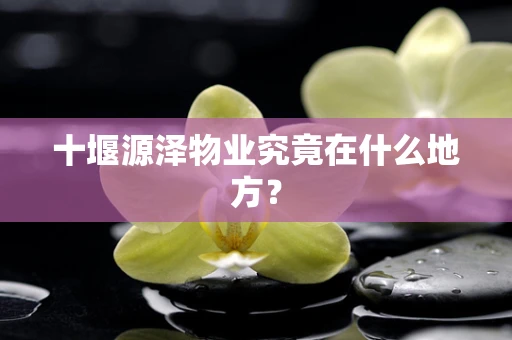 十堰源泽物业究竟在什么地方？