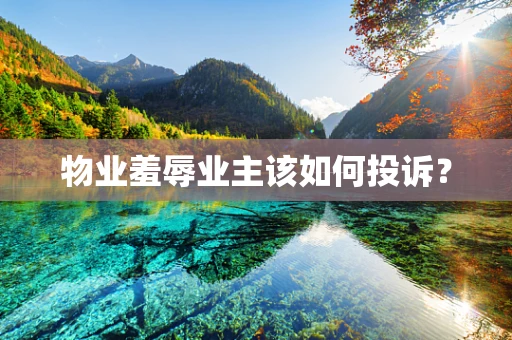 物业羞辱业主该如何投诉？