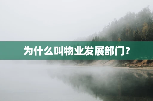 为什么叫物业发展部门？