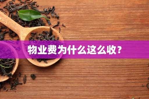 物业费为什么这么收？
