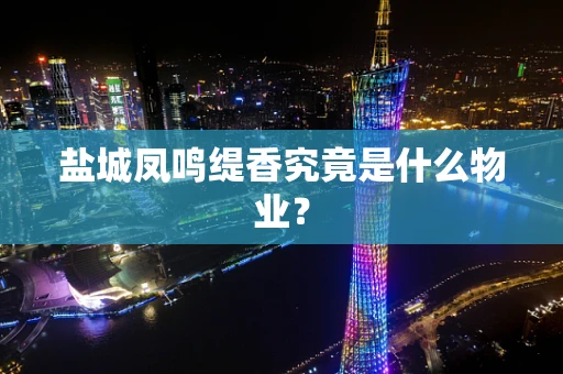 盐城凤鸣缇香究竟是什么物业？