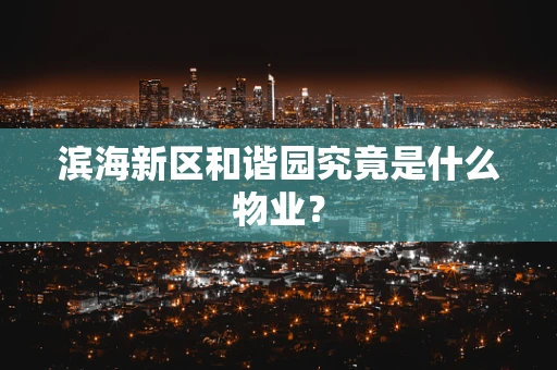 滨海新区和谐园究竟是什么物业？