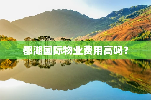 都湖国际物业费用高吗？