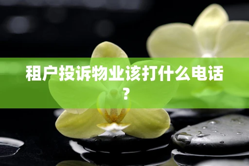 租户投诉物业该打什么电话？
