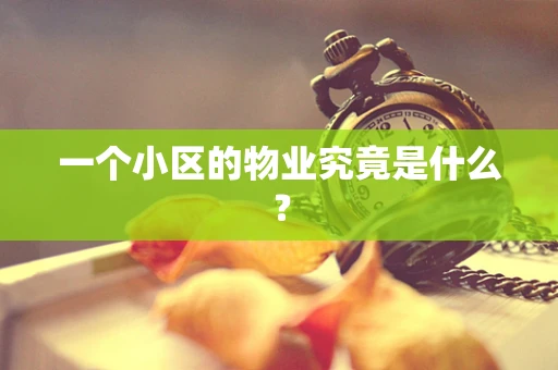 一个小区的物业究竟是什么？