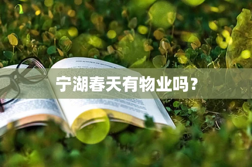 宁湖春天有物业吗？