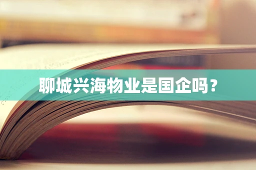 聊城兴海物业是国企吗？