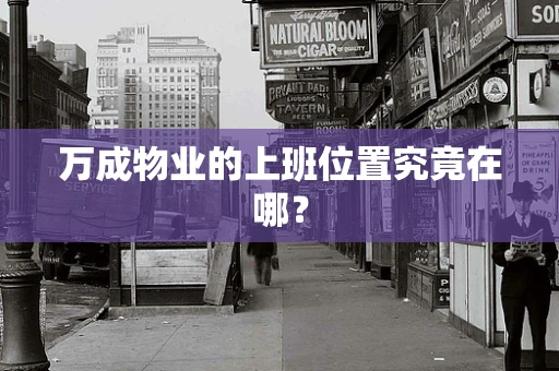 万成物业的上班位置究竟在哪？
