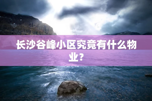 长沙谷峰小区究竟有什么物业？