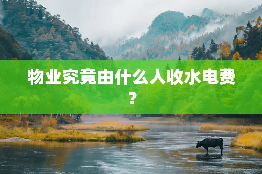 物业究竟由什么人收水电费？