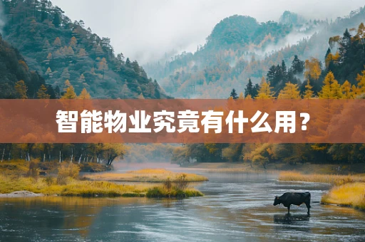 智能物业究竟有什么用？