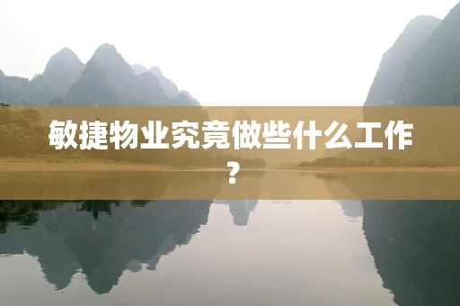 敏捷物业究竟做些什么工作？