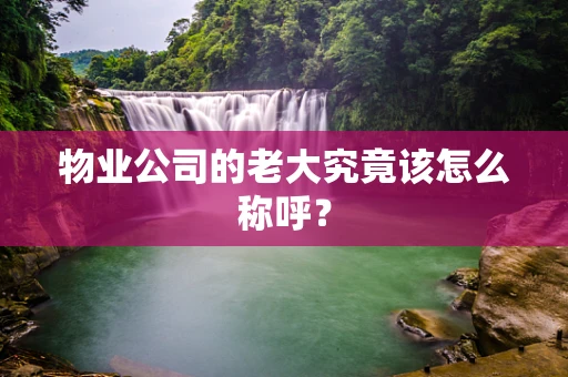 物业公司的老大究竟该怎么称呼？