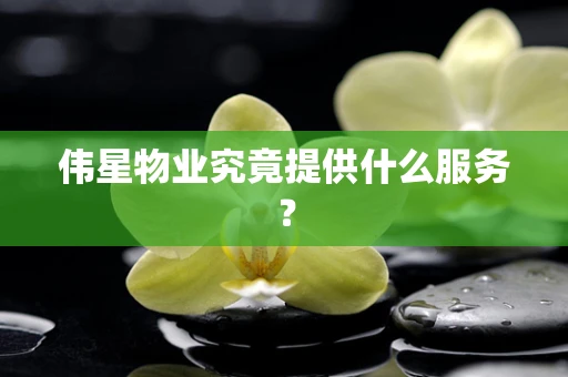 伟星物业究竟提供什么服务？