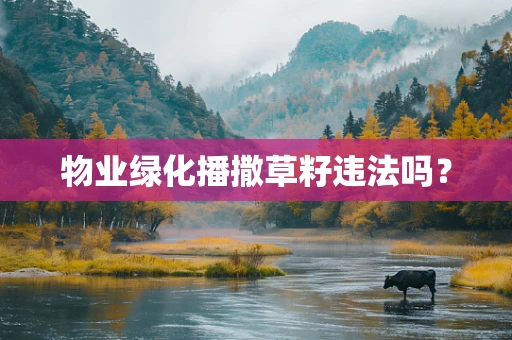 物业绿化播撒草籽违法吗？