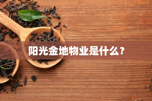 阳光金地物业是什么？