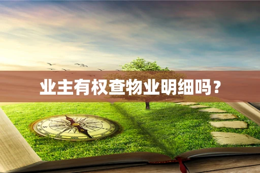 业主有权查物业明细吗？