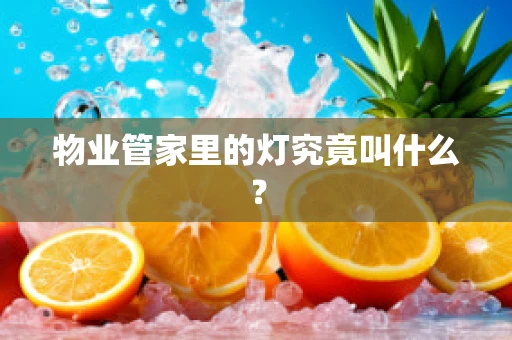 物业管家里的灯究竟叫什么？