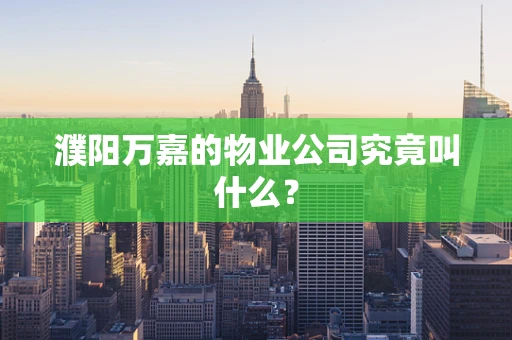 濮阳万嘉的物业公司究竟叫什么？