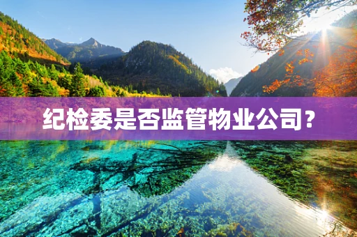纪检委是否监管物业公司？
