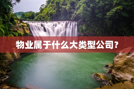 物业属于什么大类型公司？