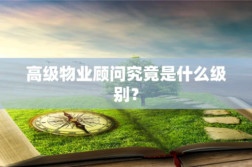 高级物业顾问究竟是什么级别？