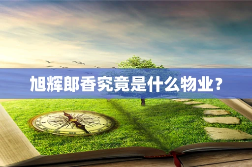 旭辉郎香究竟是什么物业？