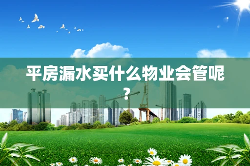 平房漏水买什么物业会管呢？