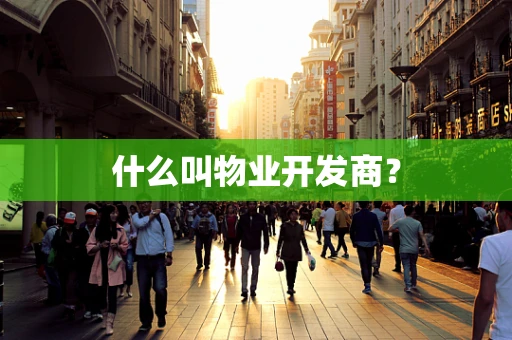 什么叫物业开发商？
