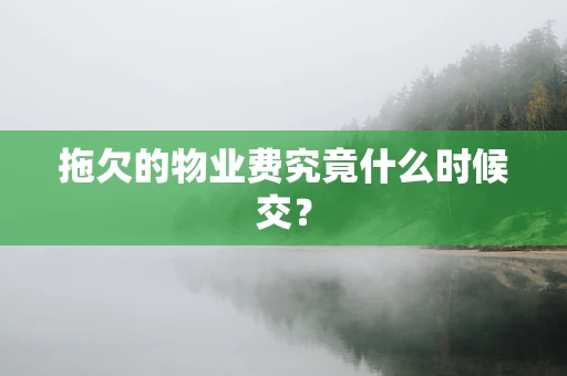 拖欠的物业费究竟什么时候交？